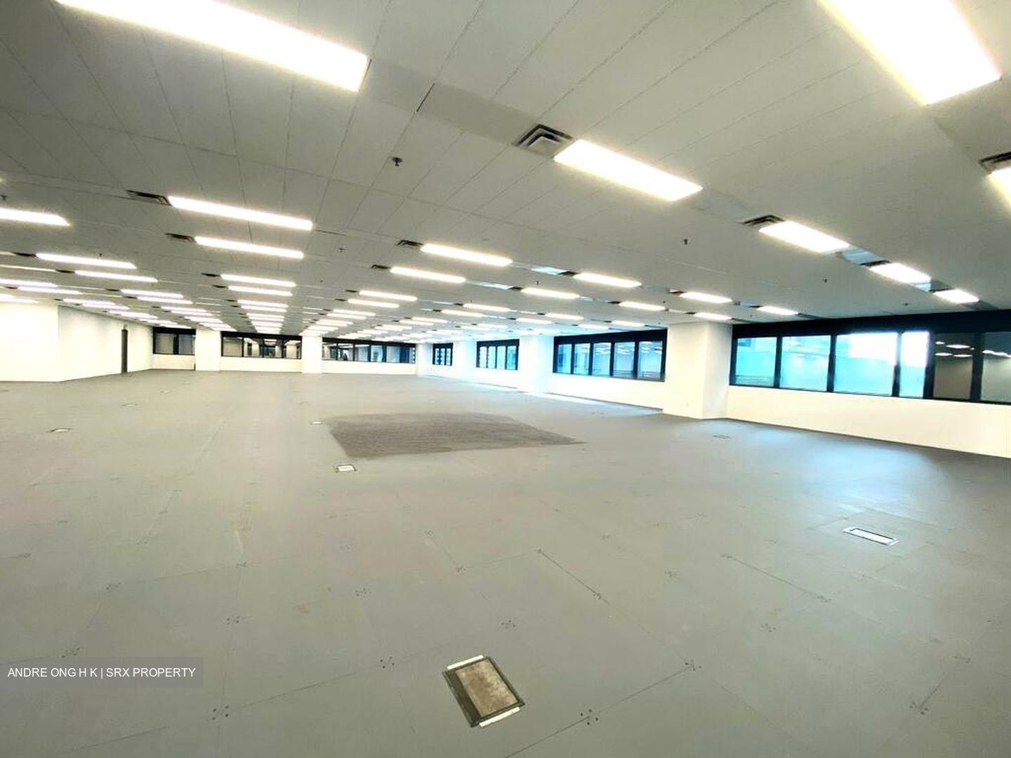 Robinson 77 (D1), Office #576568741